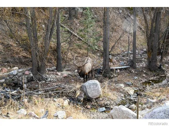416 Black Creek Drive Glen Haven, CO 80532