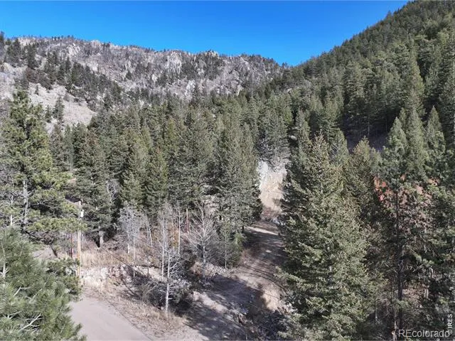 416 Black Creek Drive Glen Haven, CO 80532
