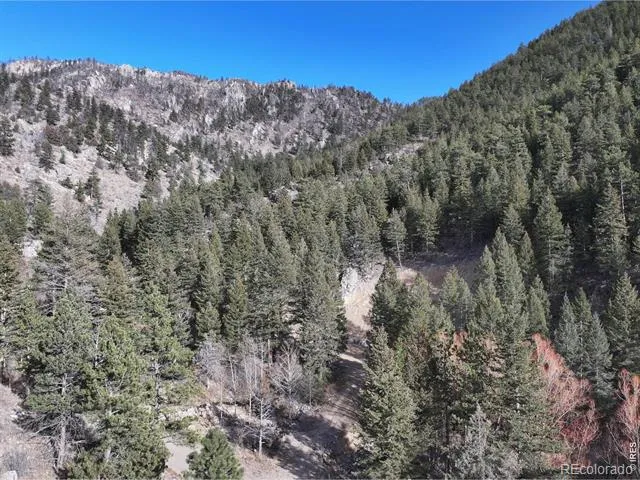 416 Black Creek Drive Glen Haven, CO 80532