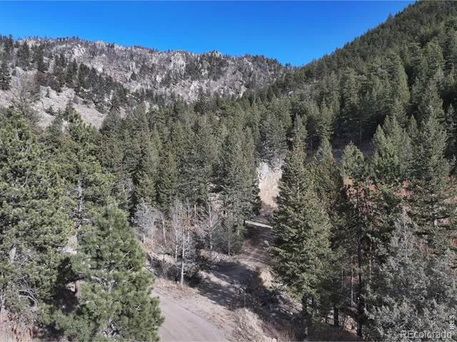 416 Black Creek Drive Glen Haven, CO 80532