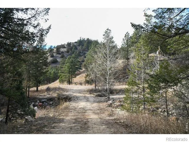 416 Black Creek Drive Glen Haven, CO 80532