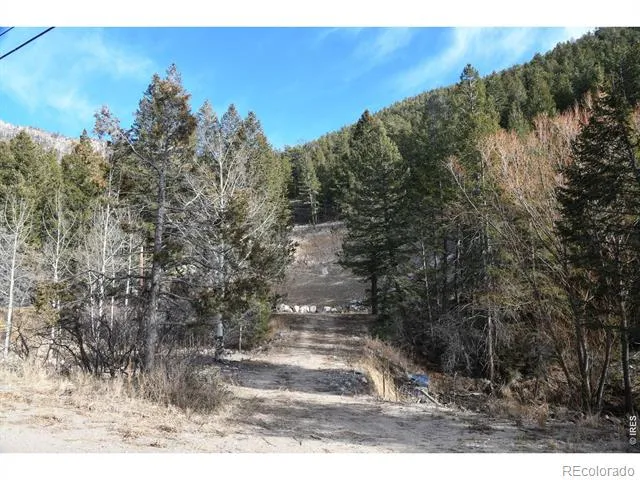 416 Black Creek Drive Glen Haven, CO 80532