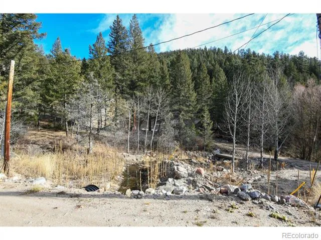 416 Black Creek Drive Glen Haven, CO 80532