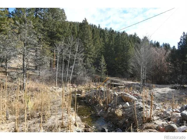 416 Black Creek Drive Glen Haven, CO 80532