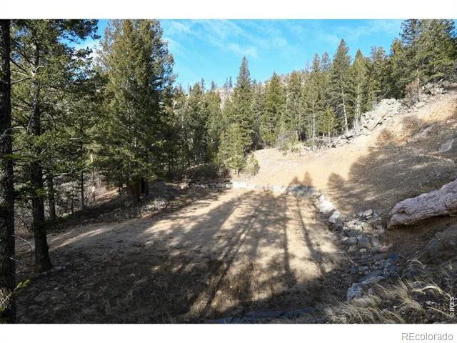 416 Black Creek Drive Glen Haven, CO 80532