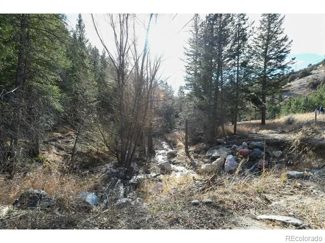 416 Black Creek Drive Glen Haven, CO 80532