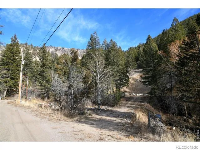 416 Black Creek Drive Glen Haven, CO 80532