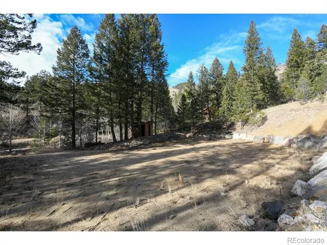 416 Black Creek Drive Glen Haven, CO 80532