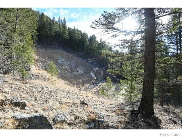 416 Black Creek Drive Glen Haven, CO 80532