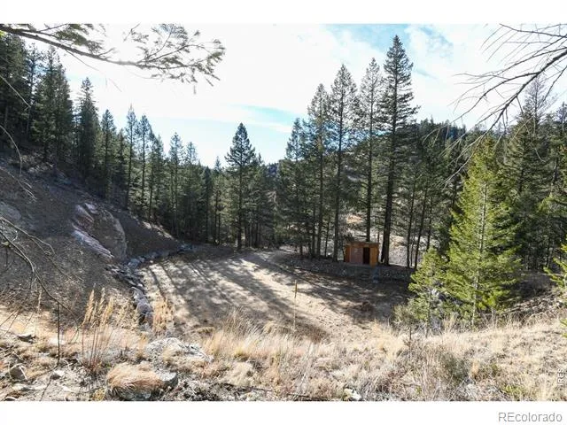 416 Black Creek Drive Glen Haven, CO 80532