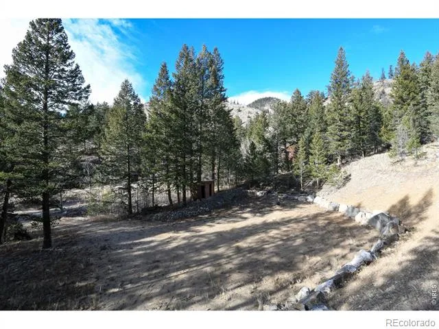 416 Black Creek Drive Glen Haven, CO 80532