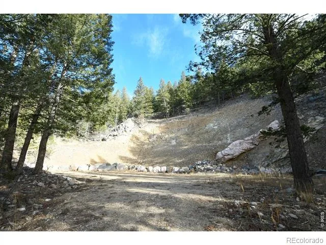 416 Black Creek Drive Glen Haven, CO 80532