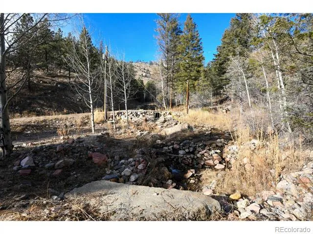 416 Black Creek Drive Glen Haven, CO 80532