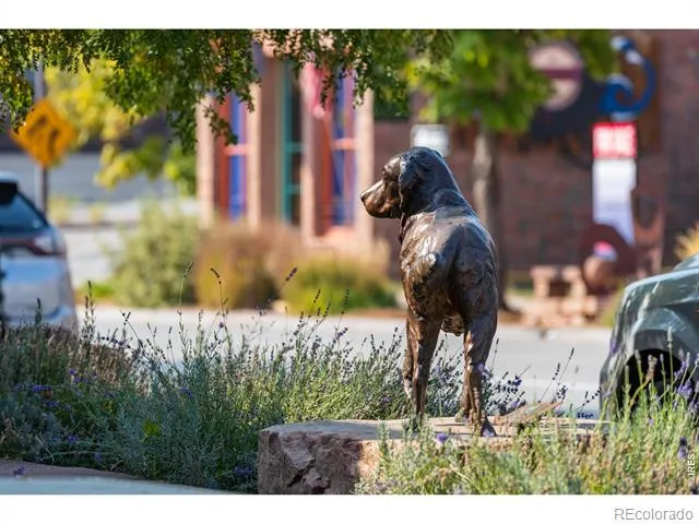 1050 Sunrise Drive Lyons, CO 80540