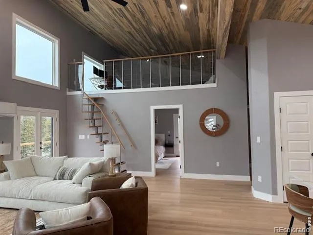 950 Gold Pan Lane Fairplay, CO 80440