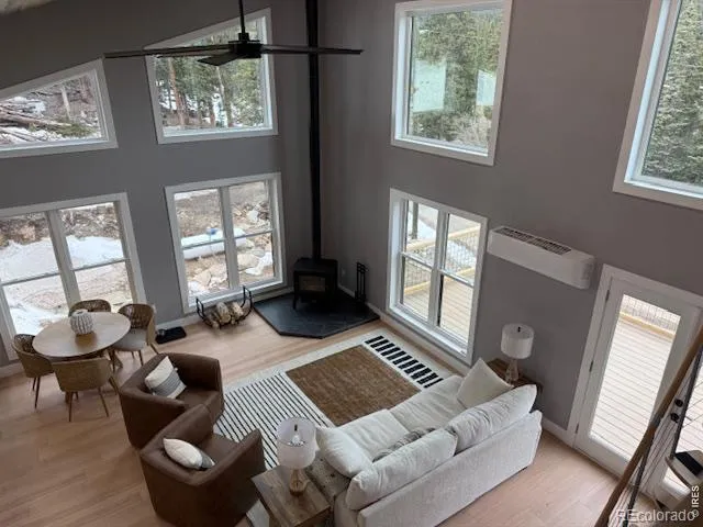 950 Gold Pan Lane Fairplay, CO 80440