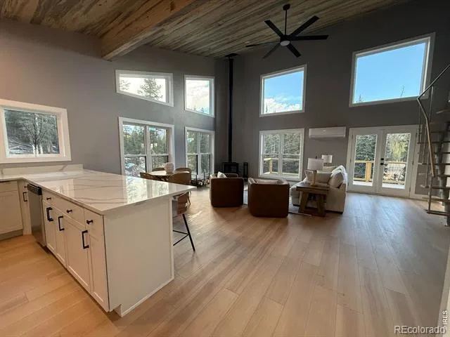 950 Gold Pan Lane Fairplay, CO 80440