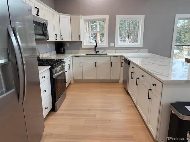 950 Gold Pan Lane Fairplay, CO 80440