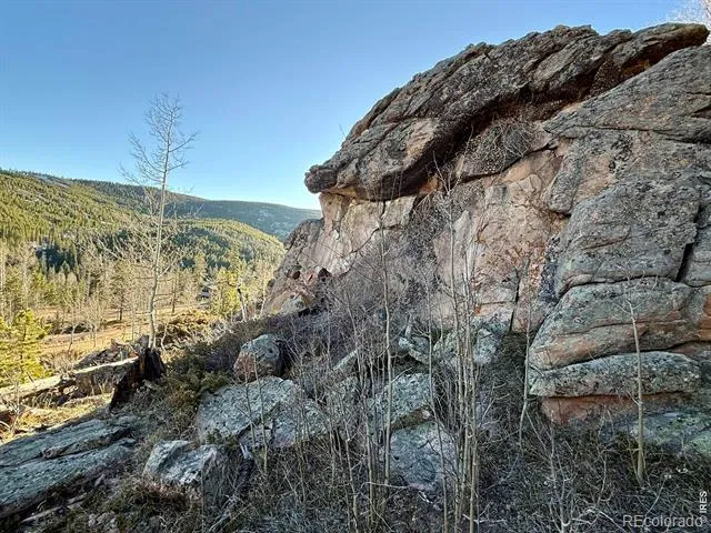 227 Micmac Drive Red Feather Lakes, CO 80545