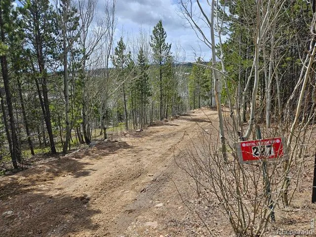 227 Micmac Drive Red Feather Lakes, CO 80545
