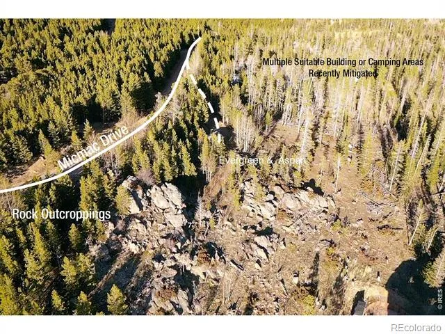 227 Micmac Drive Red Feather Lakes, CO 80545