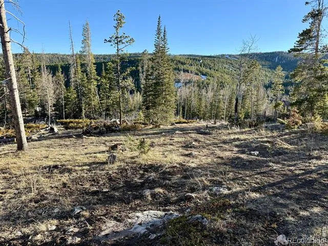 227 Micmac Drive Red Feather Lakes, CO 80545