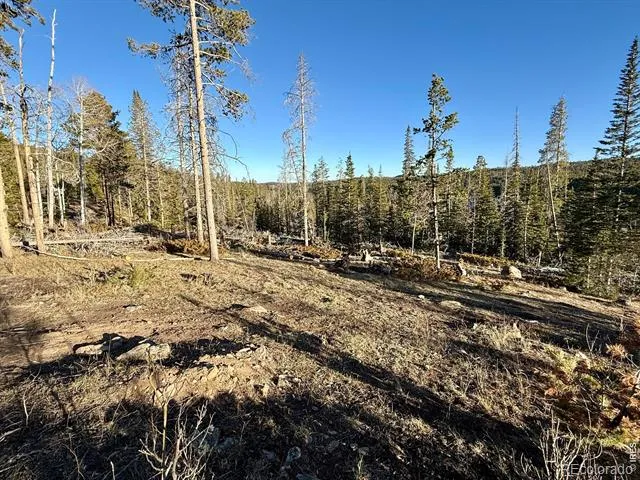227 Micmac Drive Red Feather Lakes, CO 80545