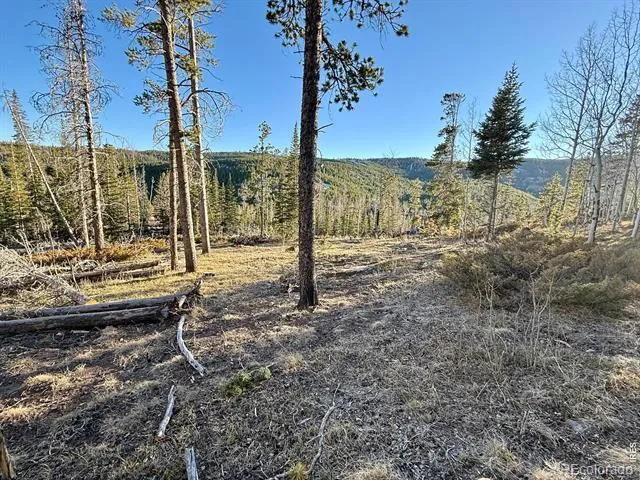 227 Micmac Drive Red Feather Lakes, CO 80545