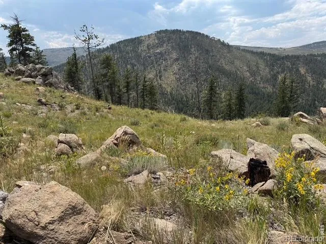865 Redstone Drive Bellvue, CO 80512