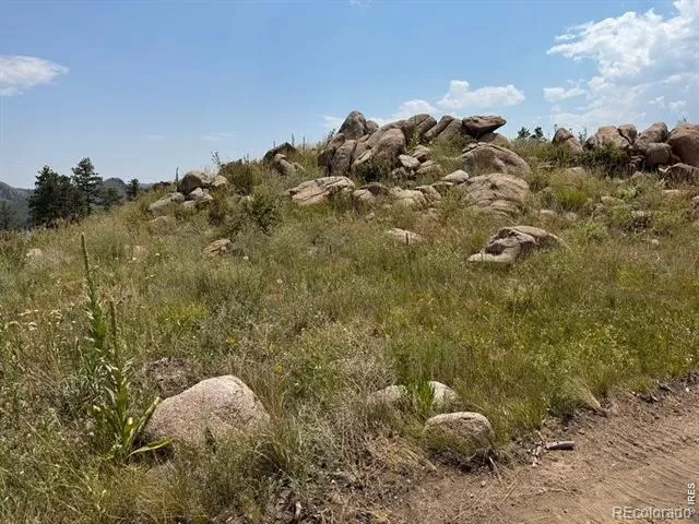 865 Redstone Drive Bellvue, CO 80512