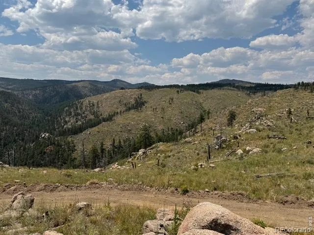 865 Redstone Drive Bellvue, CO 80512