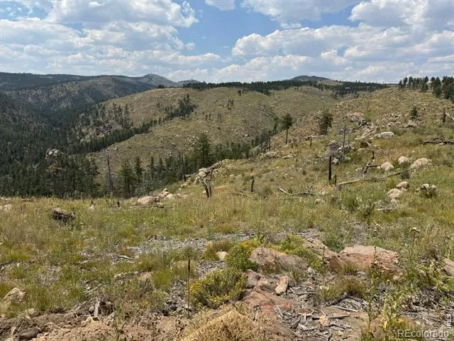 865 Redstone Drive Bellvue, CO 80512