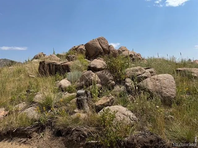 865 Redstone Drive Bellvue, CO 80512