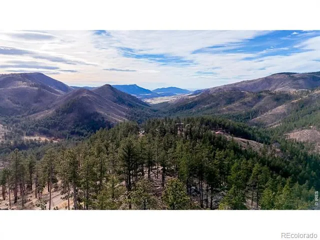 865 Redstone Drive Bellvue, CO 80512