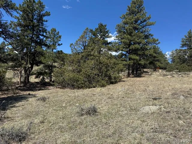 565 Le Conte Drive Livermore, CO 80536