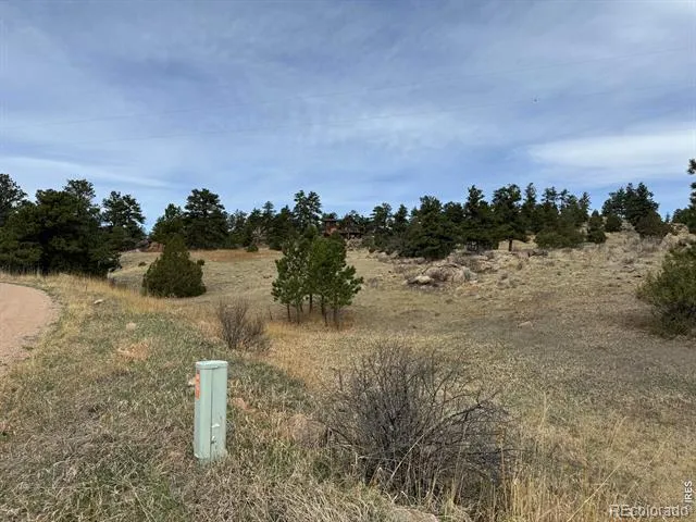 565 Le Conte Drive Livermore, CO 80536