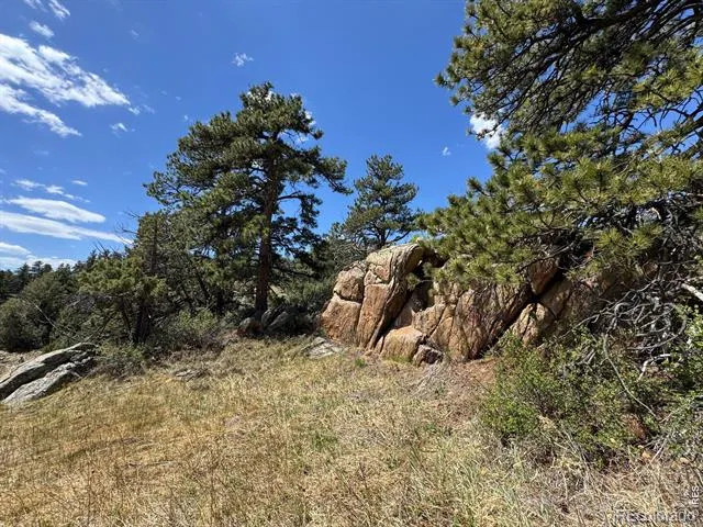 565 Le Conte Drive Livermore, CO 80536