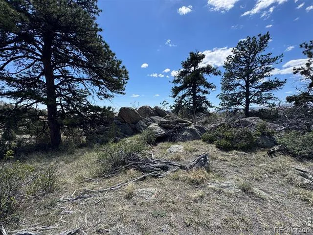 565 Le Conte Drive Livermore, CO 80536