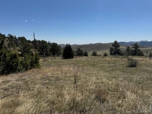 565 Le Conte Drive Livermore, CO 80536