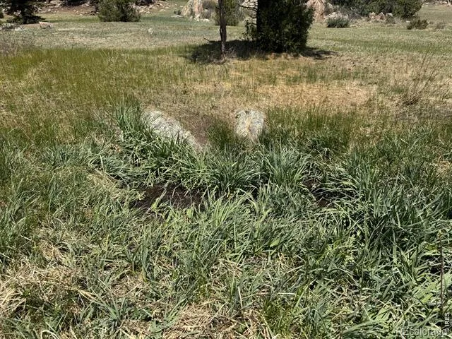 565 Le Conte Drive Livermore, CO 80536