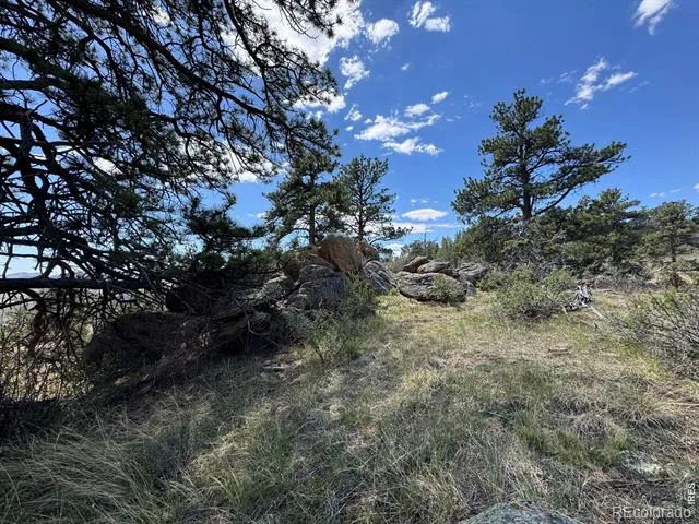 565 Le Conte Drive Livermore, CO 80536