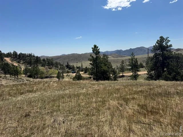 565 Le Conte Drive Livermore, CO 80536