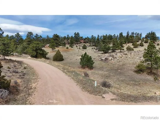 565 Le Conte Drive Livermore, CO 80536