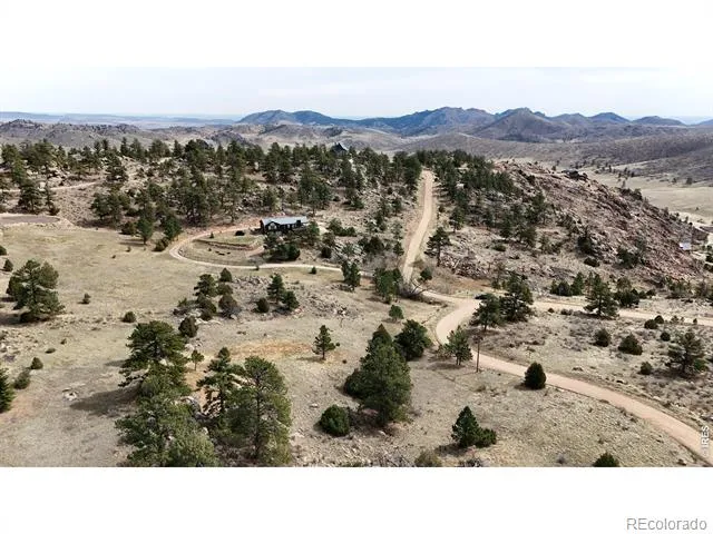 565 Le Conte Drive Livermore, CO 80536