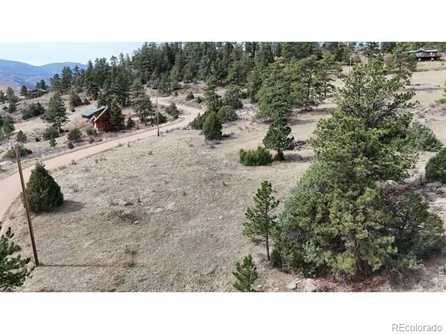 565 Le Conte Drive Livermore, CO 80536
