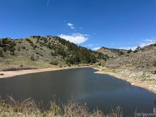 565 Le Conte Drive Livermore, CO 80536