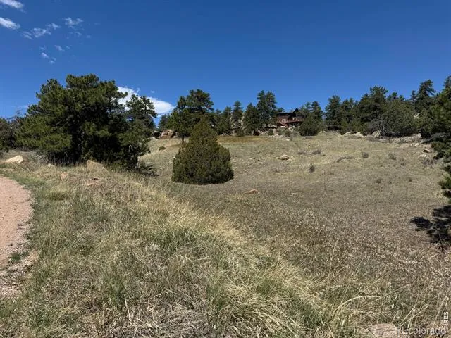 565 Le Conte Drive Livermore, CO 80536
