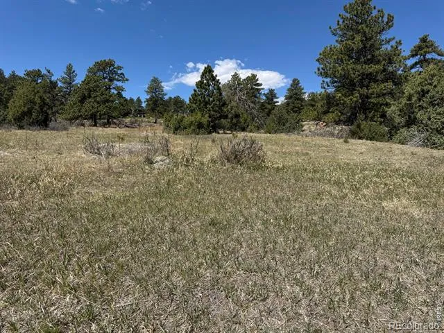 565 Le Conte Drive Livermore, CO 80536
