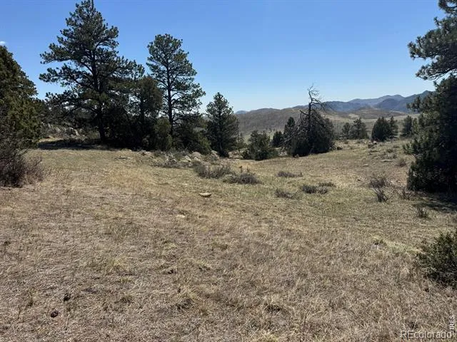 565 Le Conte Drive Livermore, CO 80536