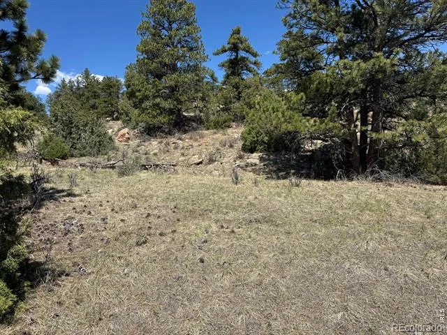 565 Le Conte Drive Livermore, CO 80536